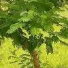 Erick Margeson - @erick.margeson - TikTok