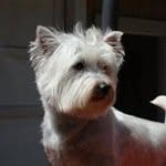 Marge Evans - @evans.marge - Instagram