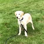 LFo - @lmargefoley - Instagram