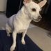 Marnie Forbis - Facebook