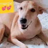 margefrank - @margefrank1 - TikTok