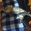 Margaret.Huffman - @flo63143wsz - TikTok