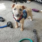 Marge Johnson - @marjo0601 - Instagram