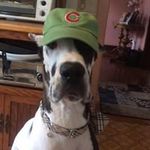 Marge Johnson - @johnson.marge_ - Instagram