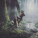 Marge Johnson - @_marge_123_ - Instagram