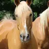 margejohnson00 - @margejohnson00 - TikTok