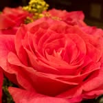 Marge jones - @marge6177 - Instagram