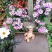 Marge Jones - Facebook