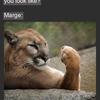 margejones - @margejones - TikTok