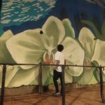 Likar Yomli Likar Yomli - @lee_marge_ - Instagram