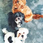 marge lee - @marge6064vt - Instagram