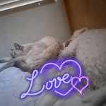 Marge Lee - @mlee889 - Instagram