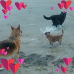 Marge Lee Gilmartin - @leegilmartin - Instagram