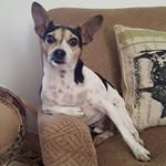 Margie Perry - @margie.perry.739 - Instagram