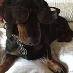 Elaine Brind - @margeryanddave - Instagram