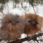 Marge Ryan - @nwseusa - Instagram