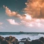 Marge Sell - @margesell2036 - Instagram