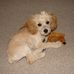 Marge Shaffer - Facebook