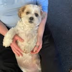 Marge Shaw - @migmogmaggie895 - Instagram