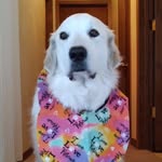 Marge Stone - @margestone664 - Instagram
