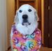 Marge Stone - Facebook