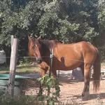 Marge Taylor - @windstar5050 - Instagram