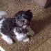 Marge Taylor - Facebook