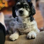 Marge Terry - @margeterry - Instagram