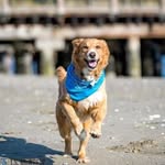 Todd Margeson - @toddmargeson - Instagram
