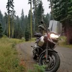 Todd Margetts - @toddmargetts - Instagram