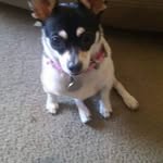 Marge Tuttle - @marge.tuttle1 - Instagram