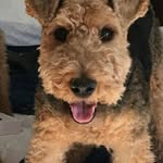 Marge Walsh - @margew2022 - Instagram