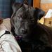Marge Walsh - Facebook