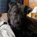 Marge Walsh - Facebook