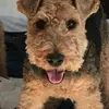 margewalsh336 - @margewalsh336 - TikTok