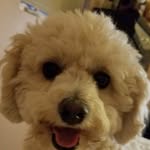 Margie Furlong Warren - @themrswarren1 - Instagram