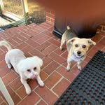 Margie Webb Starr - @williamcstarr - Instagram