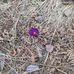 Marge Webster - Facebook