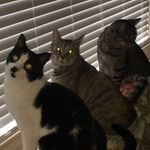 Marge Williams - @momoftwins2701 - Instagram