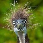 Marge Wright - @w.marge - Instagram