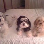 Marge Wright - @mike_molly_mickey - Instagram