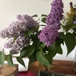 Margaret York - @margaret.york - Instagram