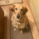 Marge Young Richards - @mjyrichards - Instagram