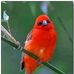 Marlene Berry - Facebook