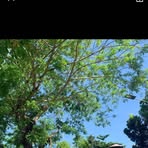 Abadinas Parame Clark Marjune - Facebook