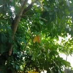 Marlene Clarke - Facebook