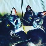 Tim Margene Smith - @timdenissmith - Instagram