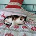 Marlene Taylor - Facebook