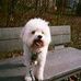 Margery Ayers - Facebook