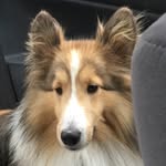 Margery Baker - @bestmargery1 - Instagram